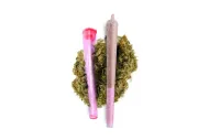 CBD PRE-ROLLS Pinkline joint