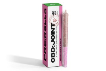 CBD PRE-ROLLS Pinkline joint